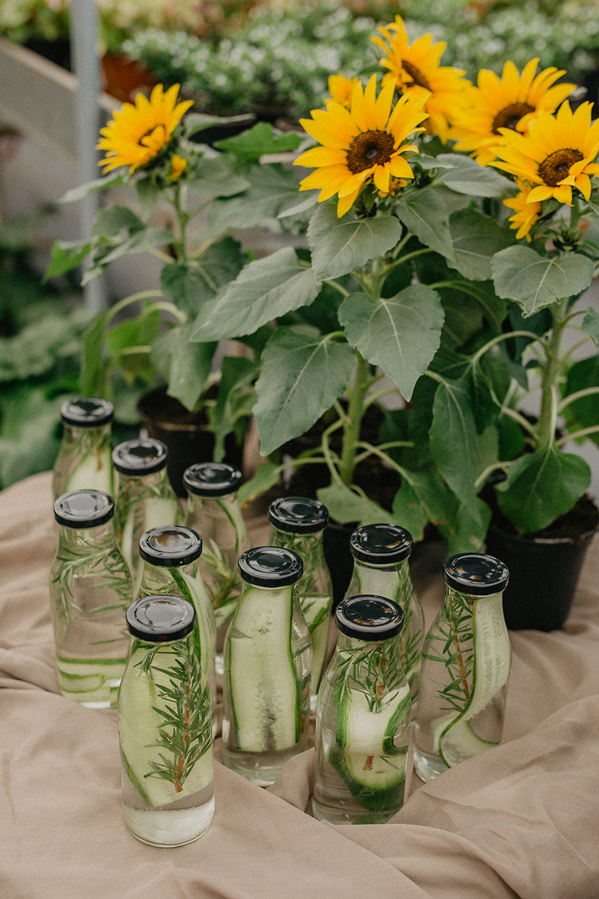 Gallery: Retreats & Group Events