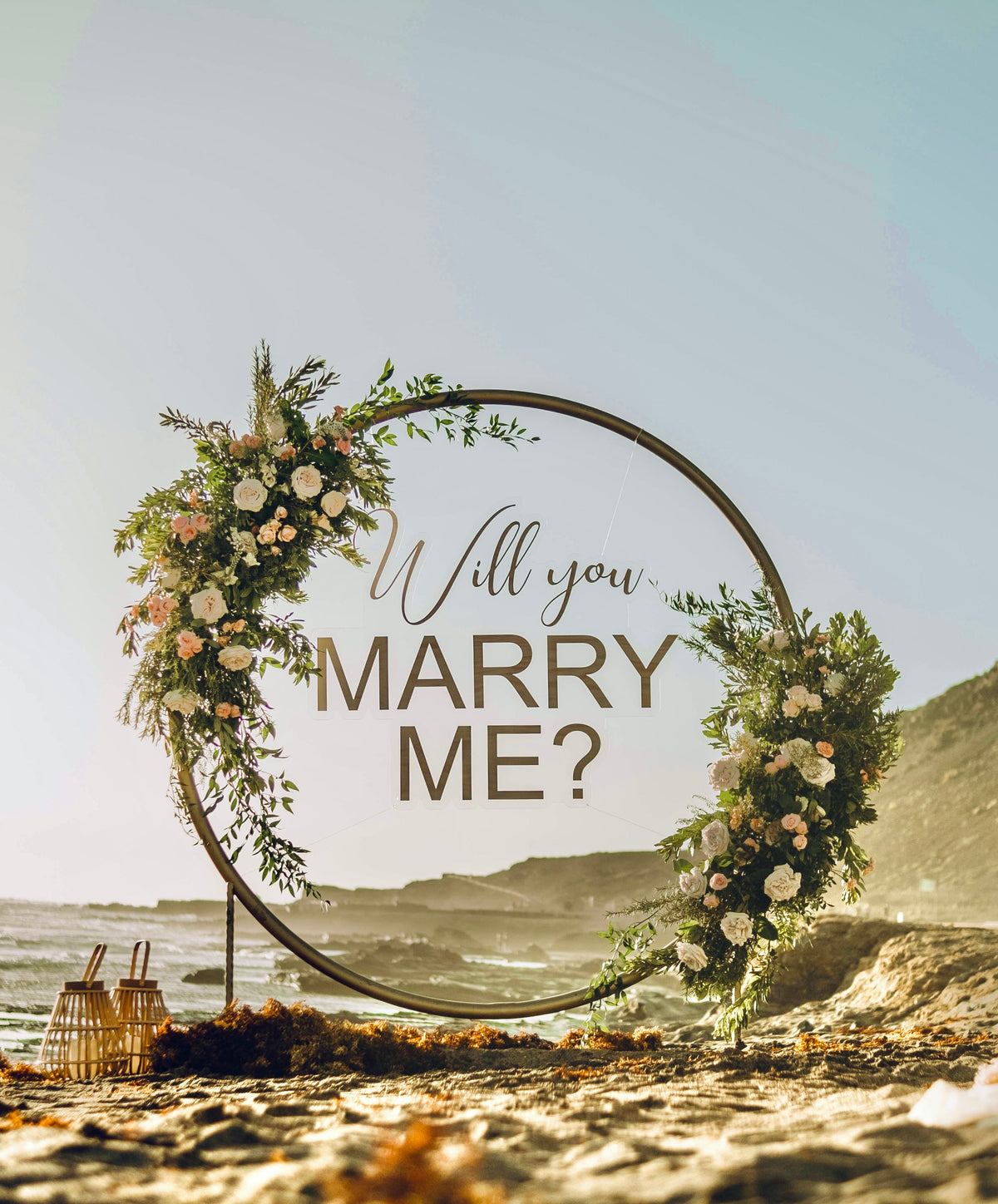 Classic Proposal Picnic